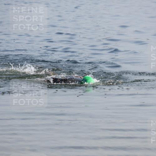 15.06.2025 - 27. Vierlanden-Triathlon Lena Gebhardt http://msf.ph/oto/8043266 15.06.2025 08:30:11 Schwimmen  meine-sportfotos.de