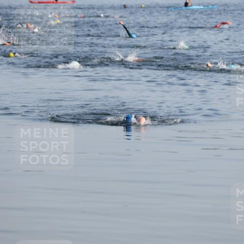15.06.2025 - 27. Vierlanden-Triathlon Lena Gebhardt http://msf.ph/oto/8043336 15.06.2025 08:31:34 Schwimmen 63 meine-sportfotos.de