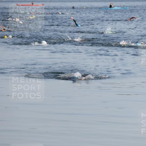 15.06.2025 - 27. Vierlanden-Triathlon Lena Gebhardt http://msf.ph/oto/8043338 15.06.2025 08:31:34 Schwimmen 63 meine-sportfotos.de