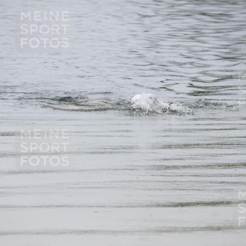 21.06.2025 - 27. Vierlanden-Triathlon Lena Gebhardt http://msf.ph/oto/8045443 15.06.2025 14:50:37 Schwimmen  meine-sportfotos.de