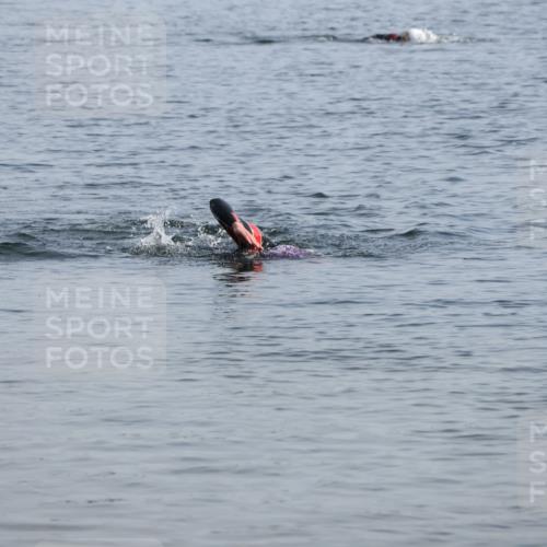 15.06.2025 - 27. Vierlanden-Triathlon Lena Gebhardt http://msf.ph/oto/8047265 15.06.2025 08:46:23 Schwimmen  meine-sportfotos.de