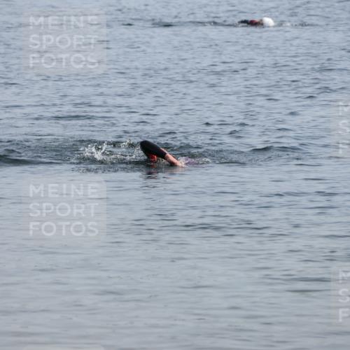 15.06.2025 - 27. Vierlanden-Triathlon Lena Gebhardt http://msf.ph/oto/8047266 15.06.2025 08:46:23 Schwimmen  meine-sportfotos.de