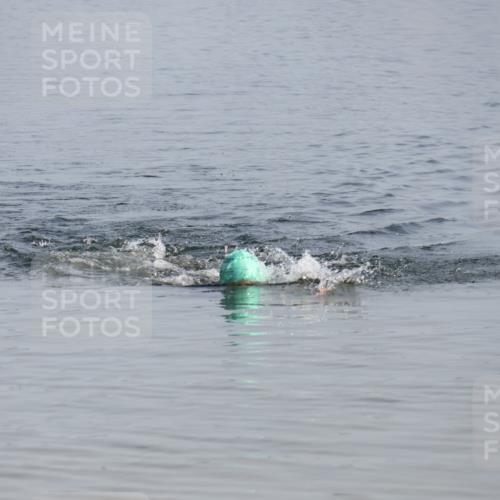 15.06.2025 - 27. Vierlanden-Triathlon Lena Gebhardt http://msf.ph/oto/8047946 15.06.2025 08:56:08 Schwimmen 239 meine-sportfotos.de