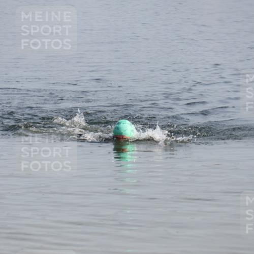 15.06.2025 - 27. Vierlanden-Triathlon Lena Gebhardt http://msf.ph/oto/8047947 15.06.2025 08:56:08 Schwimmen 239 meine-sportfotos.de