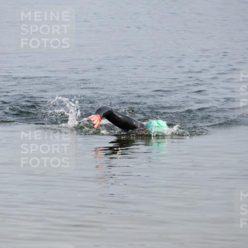 15.06.2025 - 27. Vierlanden-Triathlon Lena Gebhardt http://msf.ph/oto/8047949 15.06.2025 08:56:09 Schwimmen 239 meine-sportfotos.de