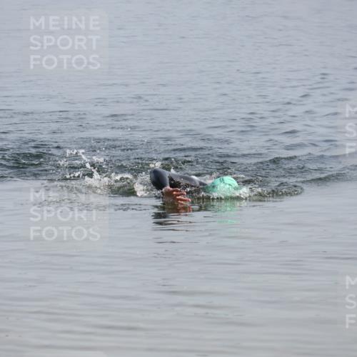15.06.2025 - 27. Vierlanden-Triathlon Lena Gebhardt http://msf.ph/oto/8047951 15.06.2025 08:56:09 Schwimmen 239 meine-sportfotos.de