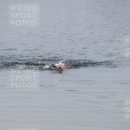 15.06.2025 - 27. Vierlanden-Triathlon Lena Gebhardt http://msf.ph/oto/8047985 15.06.2025 08:57:56 Schwimmen 157 meine-sportfotos.de