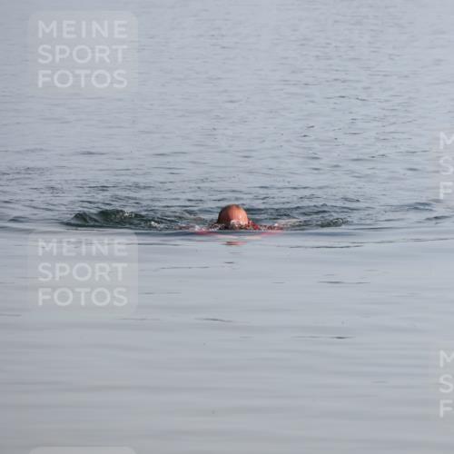 15.06.2025 - 27. Vierlanden-Triathlon Lena Gebhardt http://msf.ph/oto/8047989 15.06.2025 08:57:59 Schwimmen 157 meine-sportfotos.de