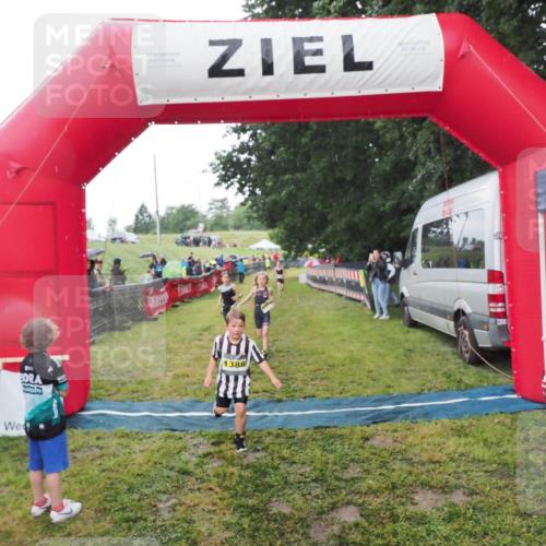 21.06.2025 - 27. Vierlanden-Triathlon MichiJ http://msf.ph/oto/8050953 15.06.2026 15:15:00 Ziel 1387, 1389 meine-sportfotos.de