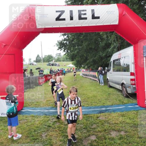 21.06.2025 - 27. Vierlanden-Triathlon MichiJ http://msf.ph/oto/8050960 15.06.2026 15:15:00 Ziel 1387, 1389 meine-sportfotos.de