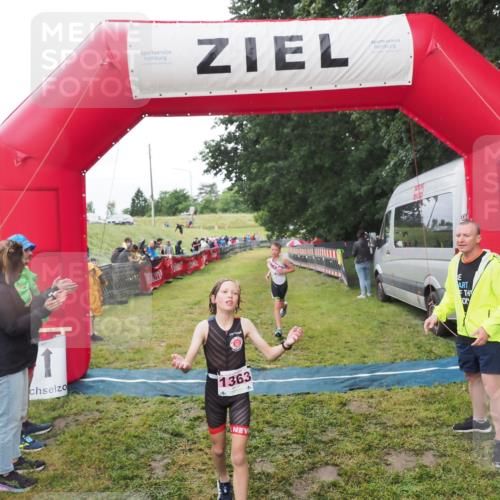 21.06.2025 - 27. Vierlanden-Triathlon MichiJ http://msf.ph/oto/8051245 15.06.2026 15:21:10 Ziel 1363, 1367 meine-sportfotos.de