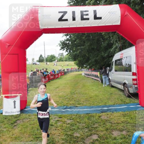 21.06.2025 - 27. Vierlanden-Triathlon MichiJ http://msf.ph/oto/8051443 15.06.2026 15:25:50 Ziel 1356 meine-sportfotos.de