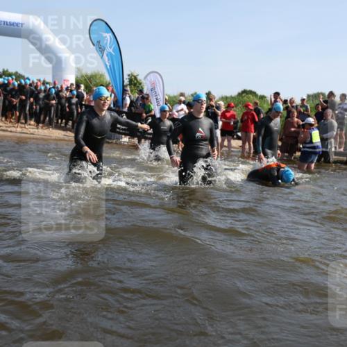 22.06.2025 - Viking Triathlon Michael Strokosch http://msf.ph/oto/8056449 22.06.2025 10:03:26 Schwimmen 25, 34, 42, 88, 89, 163, 182, 221, 229, 251, 324, 332, 454, 540, 556 meine-sportfotos.de