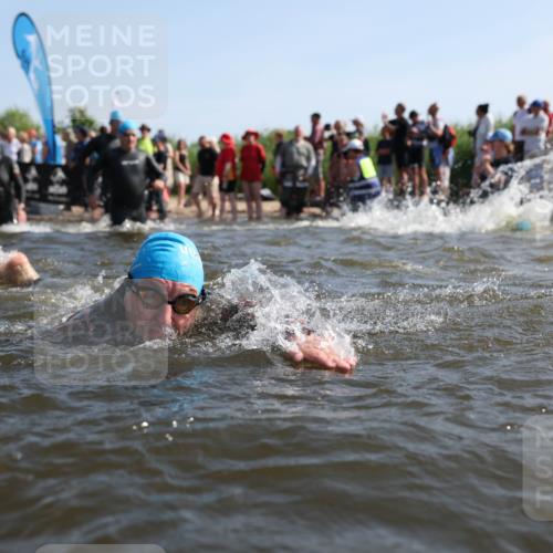 22.06.2025 - Viking Triathlon Michael Strokosch http://msf.ph/oto/8056569 22.06.2025 10:04:17 Schwimmen 115, 141, 142, 156, 185, 195, 199, 253, 276, 351, 377, 408, 474, 493, 529 meine-sportfotos.de