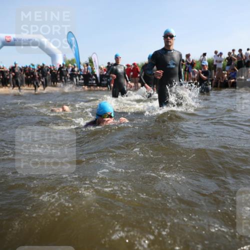 22.06.2025 - Viking Triathlon Michael Strokosch http://msf.ph/oto/8056642 22.06.2025 10:04:53 Schwimmen 29, 70, 72, 86, 248, 254, 281, 295, 312, 316, 362, 394, 411, 509, 515, 527 meine-sportfotos.de
