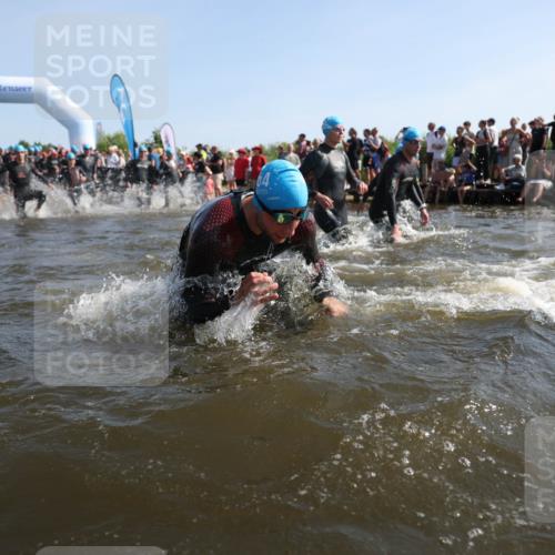 22.06.2025 - Viking Triathlon Michael Strokosch http://msf.ph/oto/8056651 22.06.2025 10:04:54 Schwimmen 29, 70, 72, 197, 248, 254, 295, 362, 394, 411, 416, 423, 509, 527, 620 meine-sportfotos.de