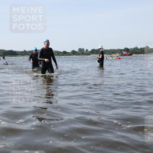 22.06.2025 - Viking Triathlon Michael Strokosch http://msf.ph/oto/8057602 22.06.2025 10:36:12 Schwimmen 19, 101, 313, 334, 377, 407, 448, 636 meine-sportfotos.de