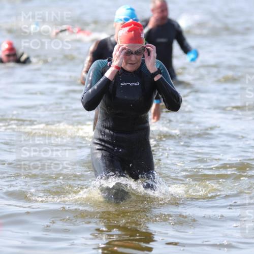 22.06.2025 - Viking Triathlon H.Heesch http://msf.ph/oto/8059014 22.06.2025 10:30:09 Schwimmen 132, 175, 203, 264, 374, 381, 491, 626, 643 meine-sportfotos.de