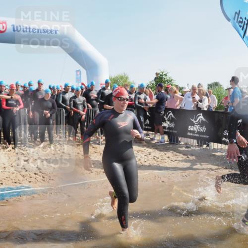 22.06.2025 - Viking Triathlon MichiJ http://msf.ph/oto/8059110 22.06.2025 10:03:58 Schwimmen 26, 54, 77, 215, 220, 242, 315, 336, 383, 396, 433, 451, 495, 639, 657 meine-sportfotos.de