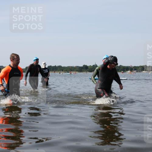 22.06.2025 - Viking Triathlon Michael Strokosch http://msf.ph/oto/8059426 22.06.2025 10:52:15 Schwimmen 116, 136, 481, 490, 542 meine-sportfotos.de