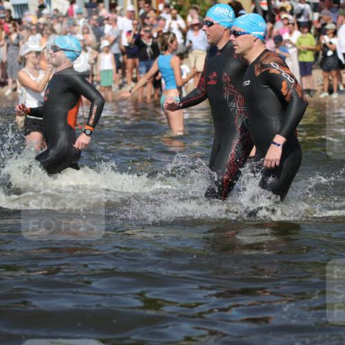 22.06.2025 - Viking Triathlon H.Heesch http://msf.ph/oto/8060600 22.06.2025 10:02:44 Schwimmen 98, 114, 161, 264, 323, 366, 427, 429, 430, 486, 552 meine-sportfotos.de