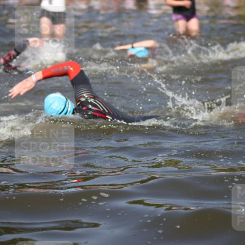 22.06.2025 - Viking Triathlon H.Heesch http://msf.ph/oto/8060751 22.06.2025 10:02:58 Schwimmen 5, 40, 43, 47, 101, 154, 164, 233, 340, 398, 475, 548, 554, 608, 632 meine-sportfotos.de