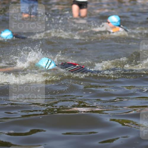 22.06.2025 - Viking Triathlon H.Heesch http://msf.ph/oto/8060758 22.06.2025 10:02:58 Schwimmen 5, 40, 43, 47, 101, 154, 164, 233, 340, 398, 475, 548, 554, 608, 632 meine-sportfotos.de