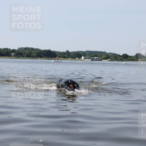 22.06.2025 - Viking Triathlon Michael Strokosch http://msf.ph/oto/8060874 22.06.2025 10:24:04 Schwimmen 609 meine-sportfotos.de
