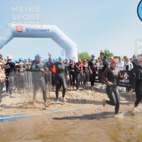 22.06.2025 - Viking Triathlon MichiJ http://msf.ph/oto/8061617 22.06.2025 10:07:02 Schwimmen 64, 183, 244, 321, 328, 369, 431, 467, 468, 479, 494, 498, 533, 631, 649 meine-sportfotos.de