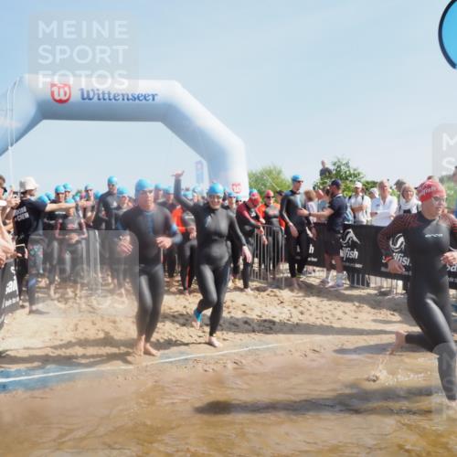 22.06.2025 - Viking Triathlon MichiJ http://msf.ph/oto/8061631 22.06.2025 10:07:02 Schwimmen 64, 183, 244, 321, 328, 369, 431, 467, 468, 479, 494, 498, 533, 631, 649 meine-sportfotos.de
