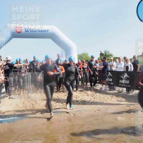 22.06.2025 - Viking Triathlon MichiJ http://msf.ph/oto/8061638 22.06.2025 10:07:02 Schwimmen 64, 183, 244, 321, 328, 369, 431, 467, 468, 479, 494, 498, 533, 631, 649 meine-sportfotos.de