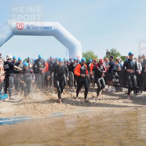 22.06.2025 - Viking Triathlon MichiJ http://msf.ph/oto/8061676 22.06.2025 10:07:06 Schwimmen 64, 123, 190, 244, 328, 369, 402, 431, 467, 494, 498, 519, 607, 631, 649 meine-sportfotos.de