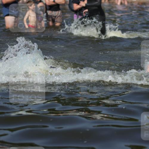 22.06.2025 - Viking Triathlon H.Heesch http://msf.ph/oto/8061751 22.06.2025 10:04:25 Schwimmen 115, 146, 195, 209, 239, 253, 335, 375, 377, 408, 419, 447, 457, 506, 629 meine-sportfotos.de