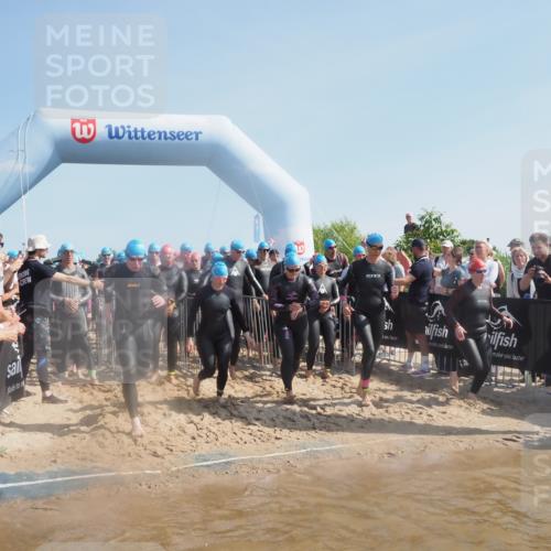 22.06.2025 - Viking Triathlon MichiJ http://msf.ph/oto/8062206 22.06.2025 10:07:36 Schwimmen 23, 121, 143, 213, 235, 270, 285, 317, 342, 353, 363, 436, 476, 484, 547, 615, 621 meine-sportfotos.de