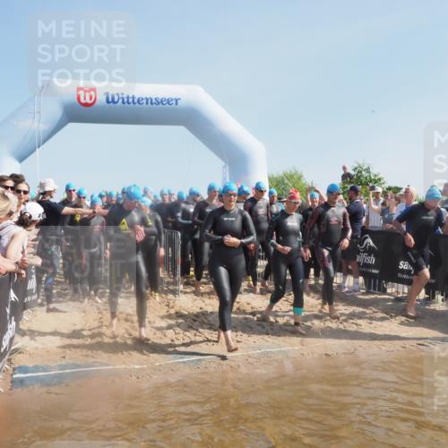 22.06.2025 - Viking Triathlon MichiJ http://msf.ph/oto/8062557 22.06.2025 10:07:56 Schwimmen 31, 76, 95, 130, 292, 308, 372, 412, 452, 453, 477, 523, 647, 650 meine-sportfotos.de