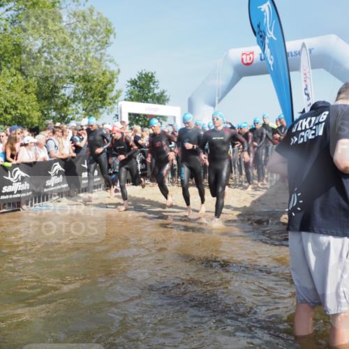 22.06.2025 - Viking Triathlon KatJ http://msf.ph/oto/8063501 22.06.2025 10:02:48 Schwimmen 40, 98, 161, 164, 264, 323, 340, 366, 427, 429, 430, 486, 548, 552, 608 meine-sportfotos.de