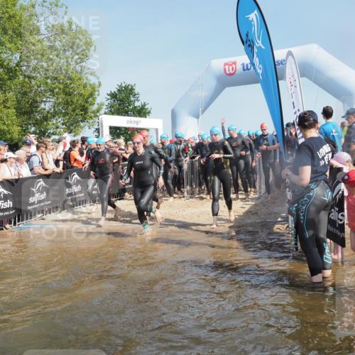 22.06.2025 - Viking Triathlon KatJ http://msf.ph/oto/8063914 22.06.2025 10:03:37 Schwimmen 42, 58, 62, 79, 148, 179, 182, 221, 434, 454, 556, 619, 635, 645, 659 meine-sportfotos.de