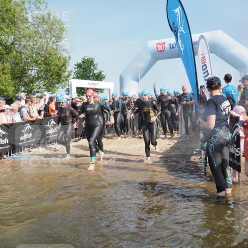 22.06.2025 - Viking Triathlon KatJ http://msf.ph/oto/8063916 22.06.2025 10:03:37 Schwimmen 42, 58, 62, 79, 148, 179, 182, 221, 434, 454, 556, 619, 635, 645, 659 meine-sportfotos.de
