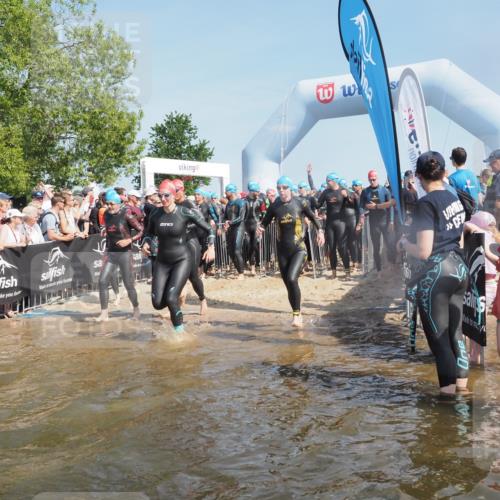 22.06.2025 - Viking Triathlon KatJ http://msf.ph/oto/8063919 22.06.2025 10:03:38 Schwimmen 42, 58, 62, 79, 148, 179, 182, 221, 434, 454, 556, 619, 635, 645, 659 meine-sportfotos.de