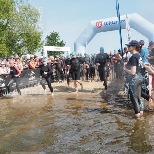 22.06.2025 - Viking Triathlon KatJ http://msf.ph/oto/8064157 22.06.2025 10:04:03 Schwimmen 54, 215, 220, 240, 242, 313, 315, 336, 370, 383, 433, 448, 614, 639, 657 meine-sportfotos.de