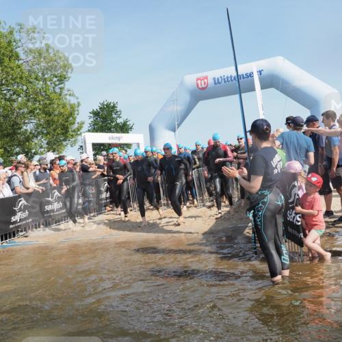 22.06.2025 - Viking Triathlon KatJ http://msf.ph/oto/8064364 22.06.2025 10:04:22 Schwimmen 115, 141, 142, 185, 195, 209, 239, 253, 276, 335, 377, 408, 419, 447, 493 meine-sportfotos.de