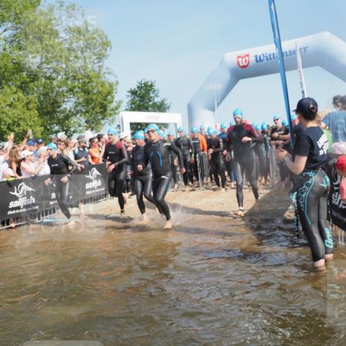 22.06.2025 - Viking Triathlon KatJ http://msf.ph/oto/8064376 22.06.2025 10:04:23 Schwimmen 115, 141, 142, 185, 195, 209, 239, 253, 276, 335, 377, 408, 419, 447, 493 meine-sportfotos.de