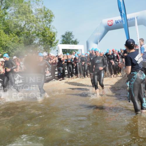 22.06.2025 - Viking Triathlon KatJ http://msf.ph/oto/8066327 22.06.2025 10:06:58 Schwimmen 66, 183, 244, 290, 318, 321, 337, 369, 467, 468, 479, 494, 498, 525, 533 meine-sportfotos.de