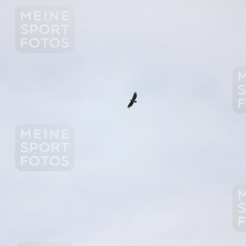 22.06.2025 - Viking Triathlon Yannick Fuchs http://msf.ph/oto/8090867 22.06.2025 13:25:53 Radfahren  meine-sportfotos.de