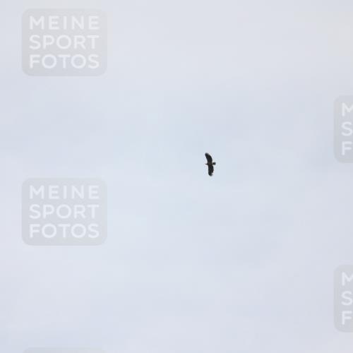 22.06.2025 - Viking Triathlon Yannick Fuchs http://msf.ph/oto/8090876 22.06.2025 13:25:54 Radfahren  meine-sportfotos.de
