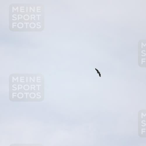 22.06.2025 - Viking Triathlon Yannick Fuchs http://msf.ph/oto/8090890 22.06.2025 13:25:55 Radfahren  meine-sportfotos.de