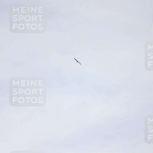 22.06.2025 - Viking Triathlon Yannick Fuchs http://msf.ph/oto/8090901 22.06.2025 13:25:56 Radfahren  meine-sportfotos.de