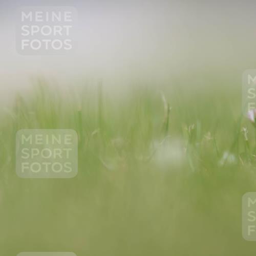 22.06.2025 - Viking Triathlon H.Heesch http://msf.ph/oto/8093447 22.06.2025 13:03:18 Laufen  meine-sportfotos.de