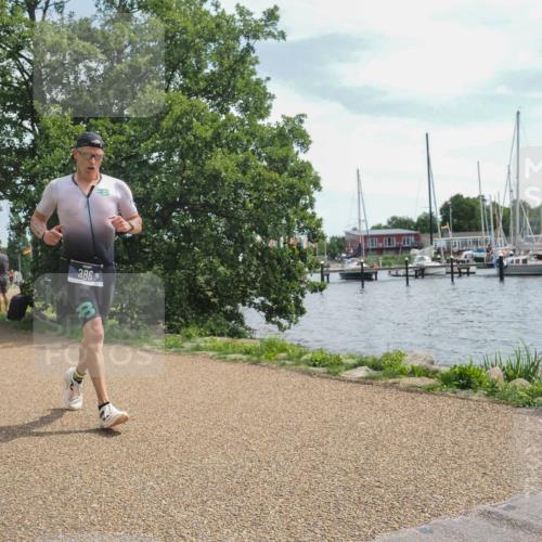 22.06.2025 - Viking Triathlon KatJ http://msf.ph/oto/8134494 22.06.2025 13:20:10 Laufen 386 meine-sportfotos.de