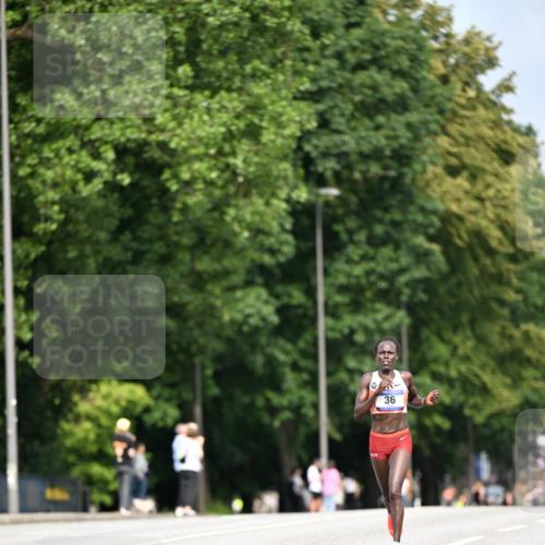 29.06.2025 - hella hamburg halbmarathon Dr. Thomas Lammeyer http://msf.ph/oto/8150112 29.06.2025 09:38:10 Kennedybrücke 36, 39, 47 meine-sportfotos.de